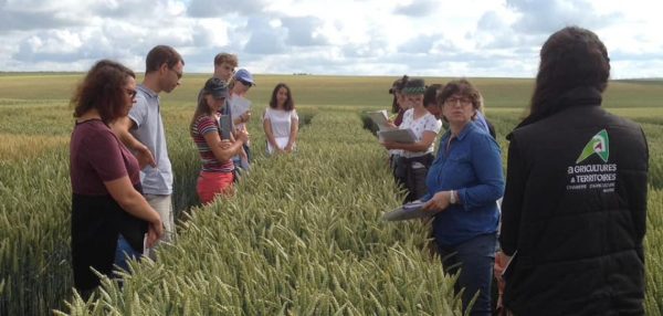 Conseil stratégique phytosanitaire, « le coût risque de crisper les