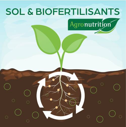 Les Biofertilisants Une Fertilisation Globale Référence Agro 2982