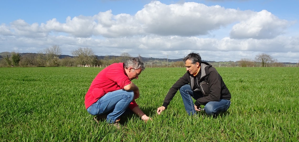 Le Conseil, Encore Flou Par Les Agriculteurs - Référence Agro